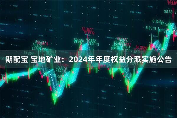 期配宝 宝地矿业：2024年年度权益分派实施公告