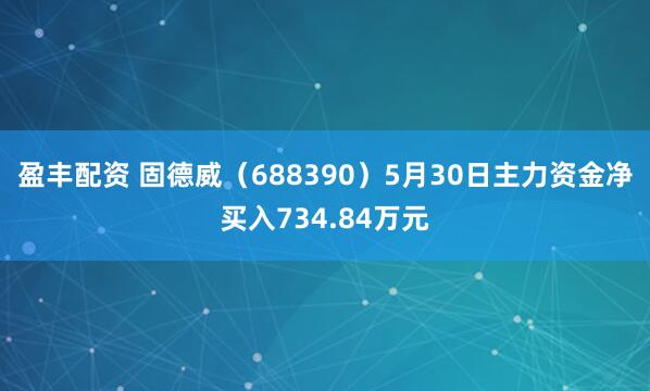 盈丰配资 固德威（688390）5月30日主力资金净买入734.84万元