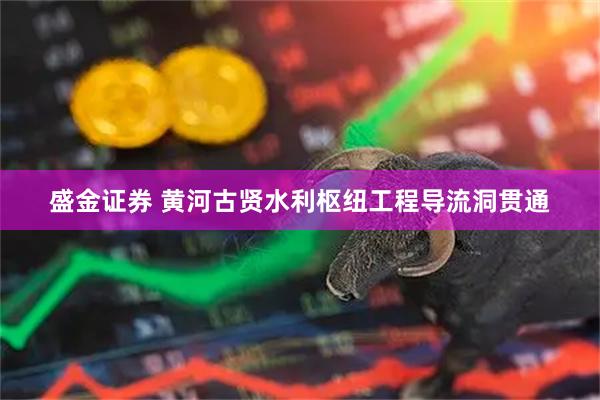 盛金证券 黄河古贤水利枢纽工程导流洞贯通
