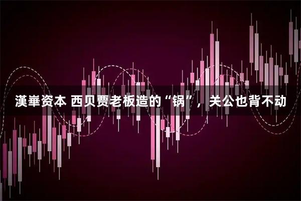 漢崋资本 西贝贾老板造的“锅”，关公也背不动