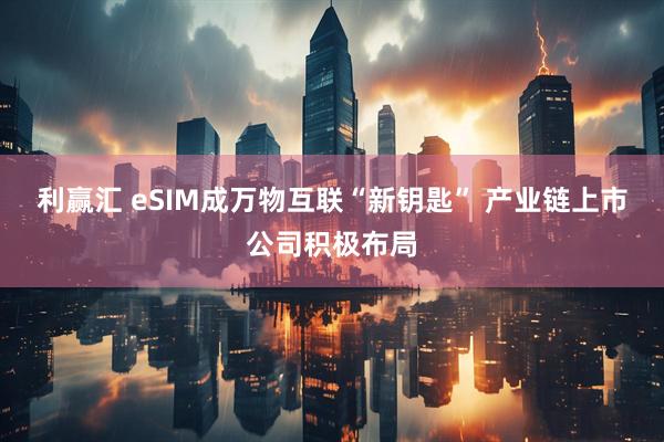 利赢汇 eSIM成万物互联“新钥匙” 产业链上市公司积极布局